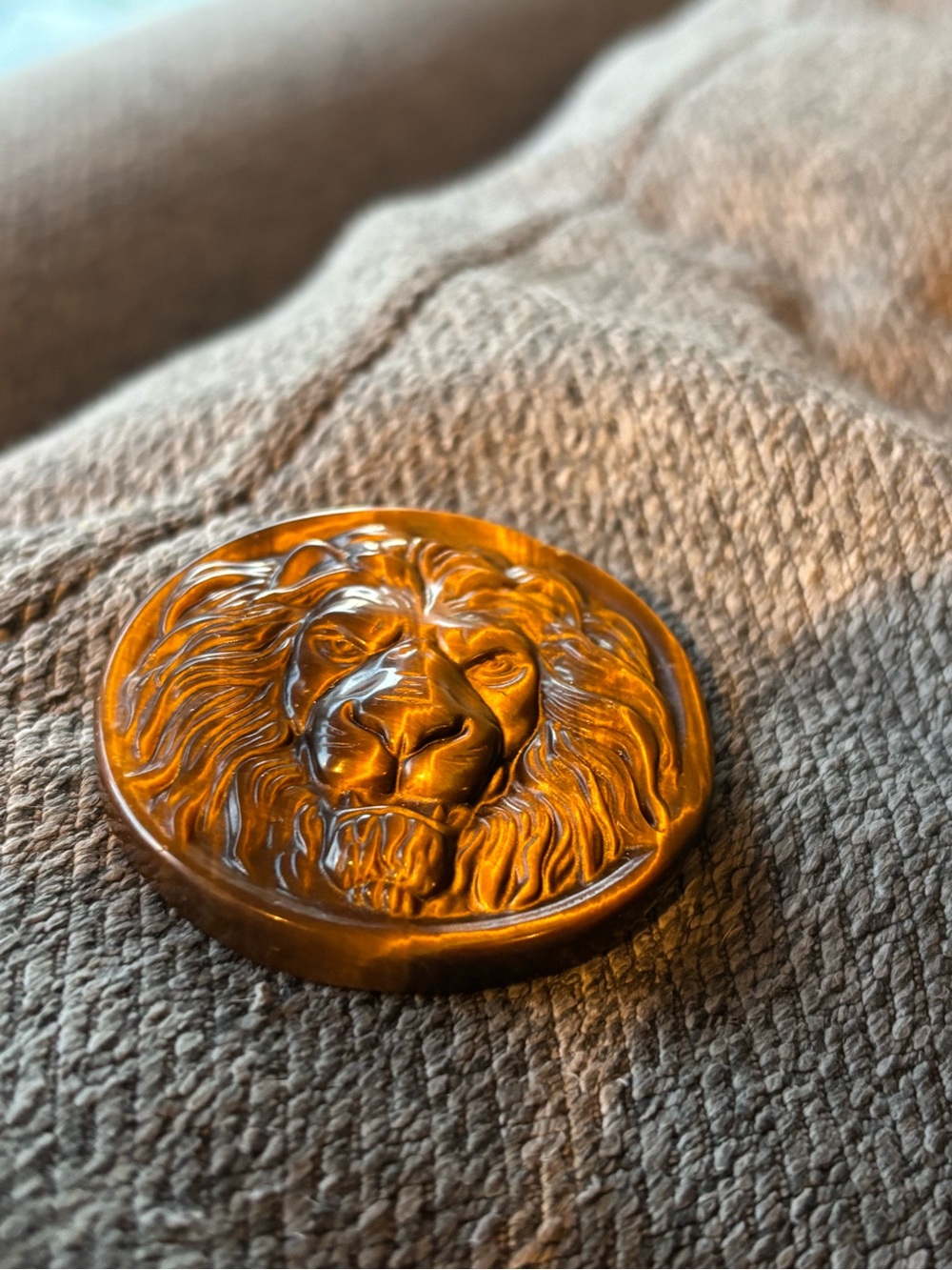 Tiger Eye Lion Medallion Decorative Accent